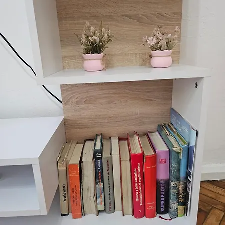 Arlo Nest Tirana